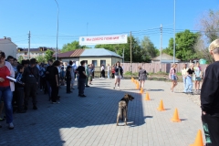 1-ИЮНЯ-45
